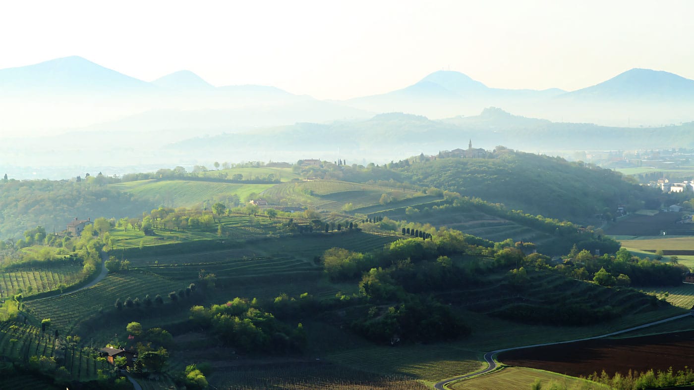 Agenzia Immobiliare Immobilveneto Lonigo